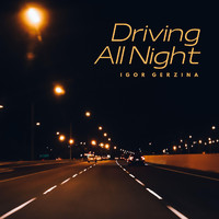 Igor Gerzina - Driving All Night