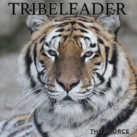 Tribeleader - THE SOURCE