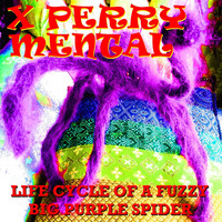 X Perry Mental - Life Cycle of a Fuzzy Big Purple Spider