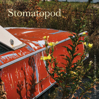 Stomatopod - Competing with Hindsight (Explicit)
