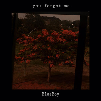 Blueboy - You Forgot Me (Explicit)
