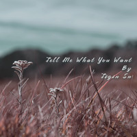 Tigin Sn - Tell Me What You Want