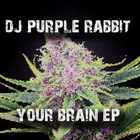 Dj Purple Rabbit - Your Brain - EP
