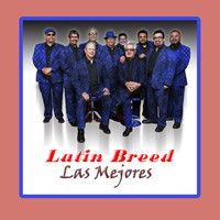 Latin Breed - Las Mejores