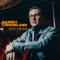 Samuel Ljungblahd - Perfect in My Mind