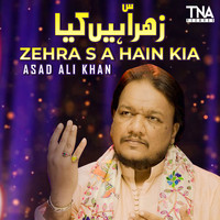 Asad Ali Khan - Zehra S A Hain Kia - Single