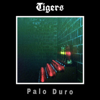Tigers - Palo Duro