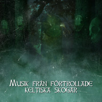Lugn Musik Atmosfär - Musik från förtrollade keltiska skogar