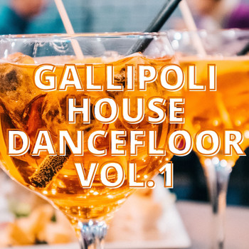 Various Artists - Gallipoli House Dancefloor Vol.1