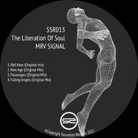 MRV Signal - The Liberation Of Soul
