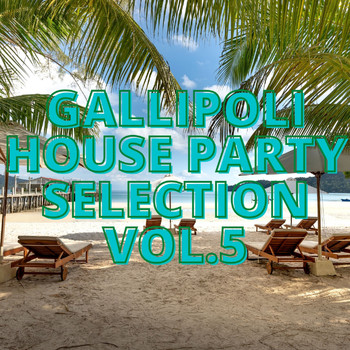 Various Artists - Gallipoli House Party Selection Vol.5
