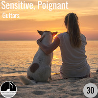 Alan Paul Ett and James Lum - Sensitive Poignant 30 Guitars