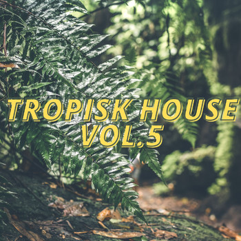 Various Artists - Tropisk House Vol.5