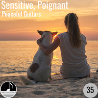 Alan Paul Ett and James Lum - Sensitive, Poignant 35 Peaceful Guitars