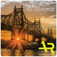 DJ Octopuz - The Avenue