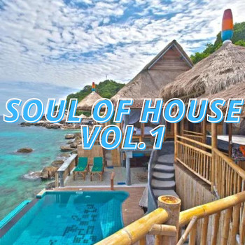Various Artists - Soul of House Vol.1
