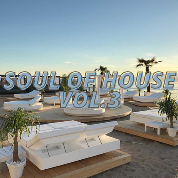 Various Artists - Soul of House Vol.3