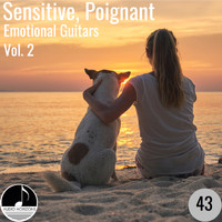 Alan Paul Ett and James Lum - Sensitive, Poignant 43 Emotional Guitars Vol 2