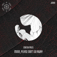 Mattia Prete - Moon, Please Don't Go Away