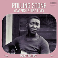 Muddy Waters - Rolling Stone (Catfish Blues) (Live)