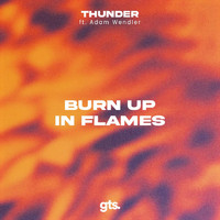 Thunder - Burn up in Flames