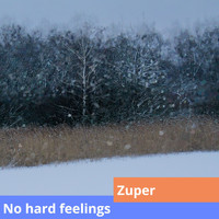 Zoepère - No Hard Feelings