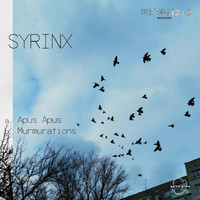 Syrinx - Murmurations
