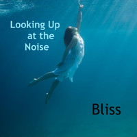 Bliss - Looking up at the Noise