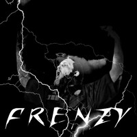 Frenzy - Into the Storm