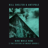 Kill Shelter & Antipole - Nine While Nine