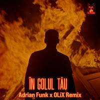 The Motans - În Golul Tău (Adrian Funk x OLiX Remix)