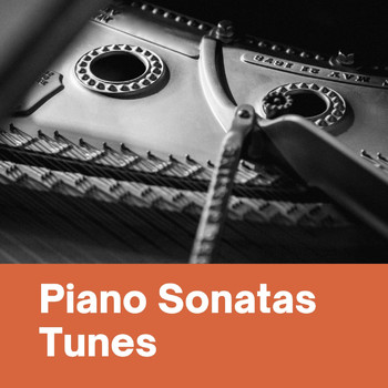Artur Schnabel - Piano Sonatas Tunes