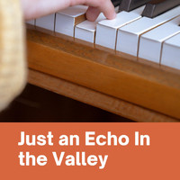 Henry Hall, The BBC Dance Orchestra - Just an Echo In the Valley