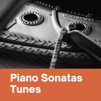 Artur Schnabel - Piano Sonata Historical