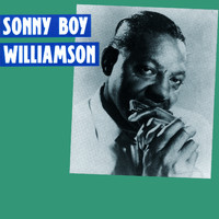 Sonny Boy Williamson I - Presenting Sonny Boy Williamson I