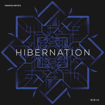 Various Artists - Hibernation