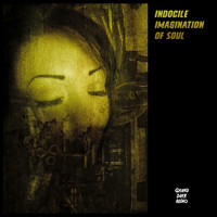 Indocile - Imagination of Soul