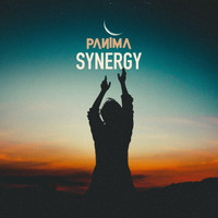 Panima - Synergy