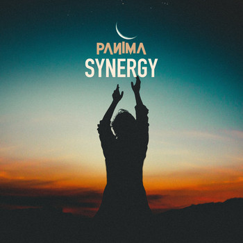 Panima - Synergy