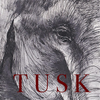 Tusk - After the Fact EP