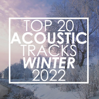 Guitar Tribute Players - Top 20 Acoustic Tracks Winter 2022 (Instrumental)