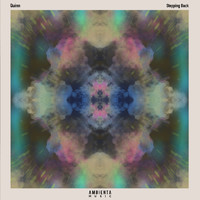 Quinn - Stepping Back