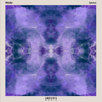 Whistler - Spacious