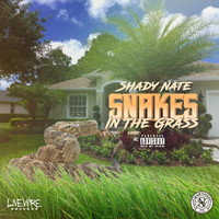 Shady Nate - Snakes in the Grass (Explicit)