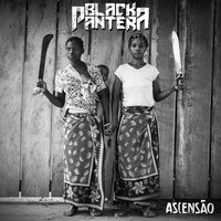 Black Pantera - Fogo Nos Racistas (Explicit)