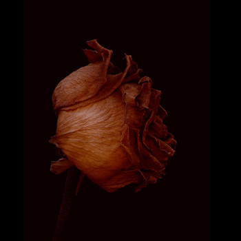 Paul Seta - With You