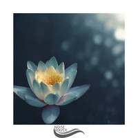 Relax Meditate Sleep - Pitched Noises