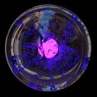 Ndr0n - IBMachine