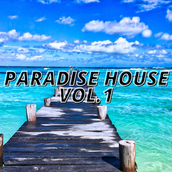 Various Artists - Paradise House Vol.1