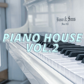 Various Artists - Piano House Vol.2